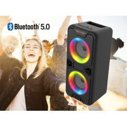 MANTA SPK816, Karaoke zvočni sistem, vgrajena baterija, Bluetooth 5.0, USB/AUX/MP3/TF/Radio, Disco LED lučke + mikrofon