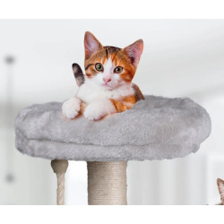 Pet Toys mačje drevo in praskalnik za mačke, 62x40x40cm, 3 nivoji