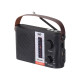 TREVI RA 7F25 Prenosni Radio FM/AW/SW, Bluetooth, MP3, USB/MicroSD, Solarno polnjenje, polnilna baterija, črn TREVI RA 7F25 Prenosni Radio FM/AW/SW, Bluetooth, MP3, USB/MicroSD, Solarno polnjenje, polnilna baterija, črn