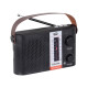 TREVI RA 7F25 Prenosni Radio FM/AW/SW, Bluetooth, MP3, USB/MicroSD, Solarno polnjenje, polnilna baterija, črn TREVI RA 7F25 Prenosni Radio FM/AW/SW, Bluetooth, MP3, USB/MicroSD, Solarno polnjenje, polnilna baterija, črn