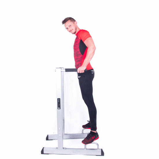Samostojno stojalo inSPORTline Power Tower PT050 Samostojno stojalo inSPORTline Power Tower PT050
