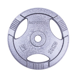 Jeklena utež inSPORTline Hamerton 25 kg Jeklena utež inSPORTline Hamerton 25 kg