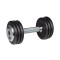Utež Profi dumbbell 10 kg