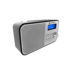 Gogen radio DAB+ DAB 300 srebrn GOGDAB300N