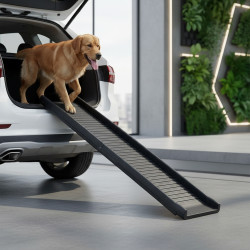 Zložljiva rampa za pse