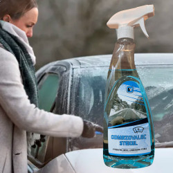 Odmzovalec stekel 500ml