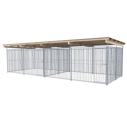 Dvojni pesjak 31268 Dvojni pesjak 31268