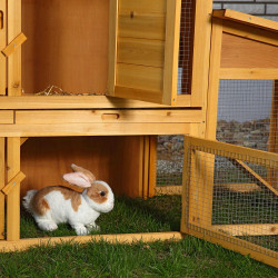 Zajčnik 50000731 Zajčnik 50000731