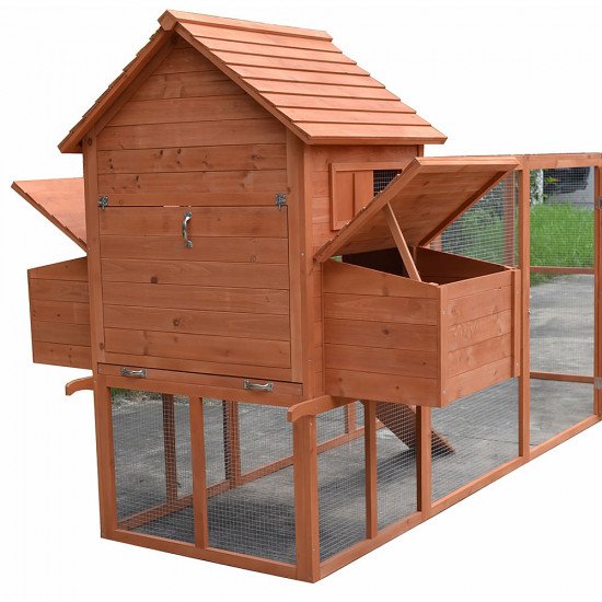 Kokošnjak 50003572 Kokošnjak 50003572